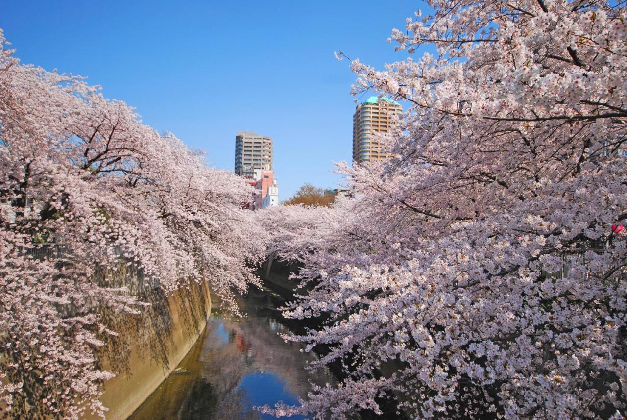 Sotetsu Fresa Inn Tokyo Kanda Exterior foto
